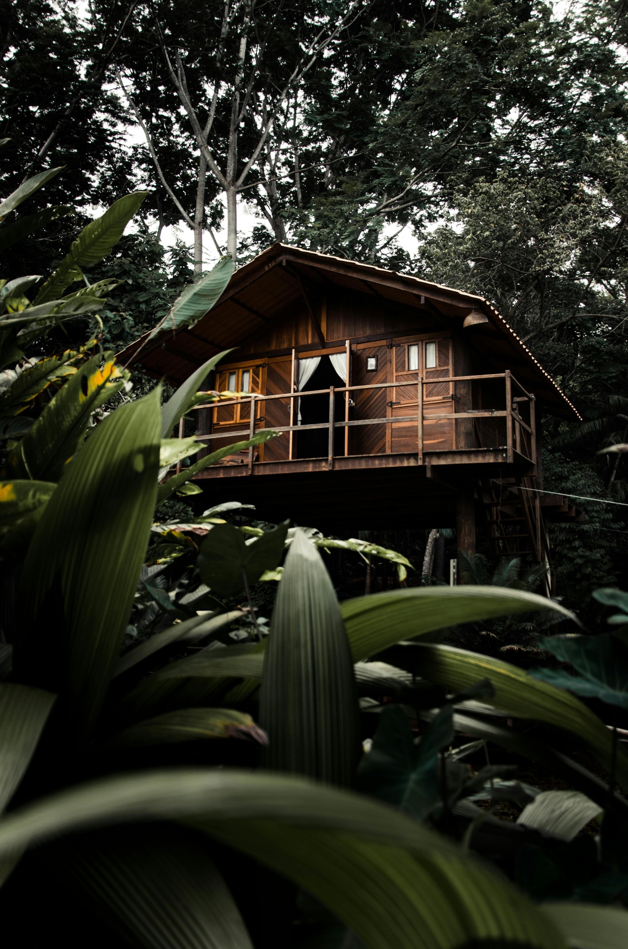 Luxury balcony overlooking misty Kerala mountains